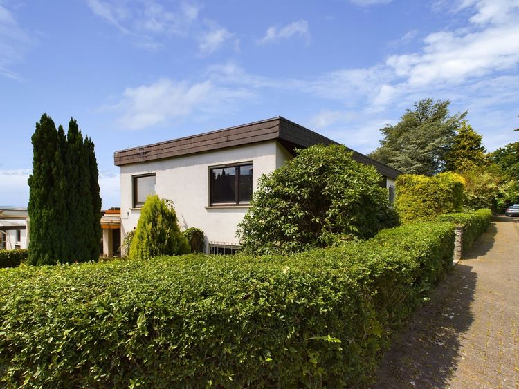 Usingen: Natur pur -  Gemütlicher Bungalow im Grünen!